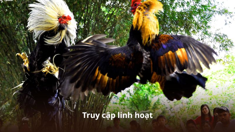 Truy cập linh hoạt